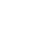 CSE ARTUS SECURITE PROTECTION